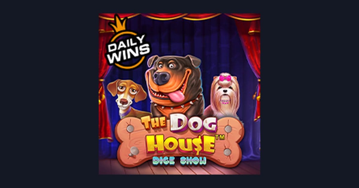 Mengenal The Dog House Dice Show: Fitur Menarik dan Tingkat Volatilitasnya