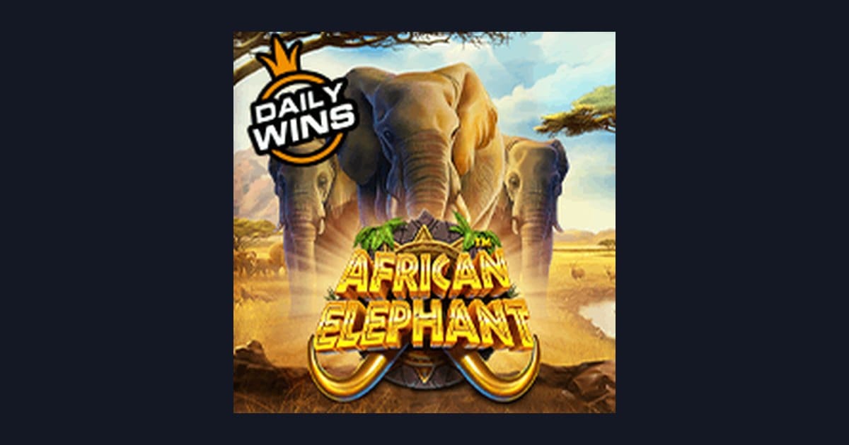 Rasakan Sensasi African Elephant dengan Info RTP Live Tertinggi dan Promo Menarik