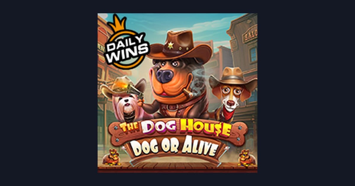 Rahasia Pola Spin Gacor di The Dog House Dog Or Alive dari Pragmatic Play